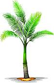 Arecaceae Clip Art.