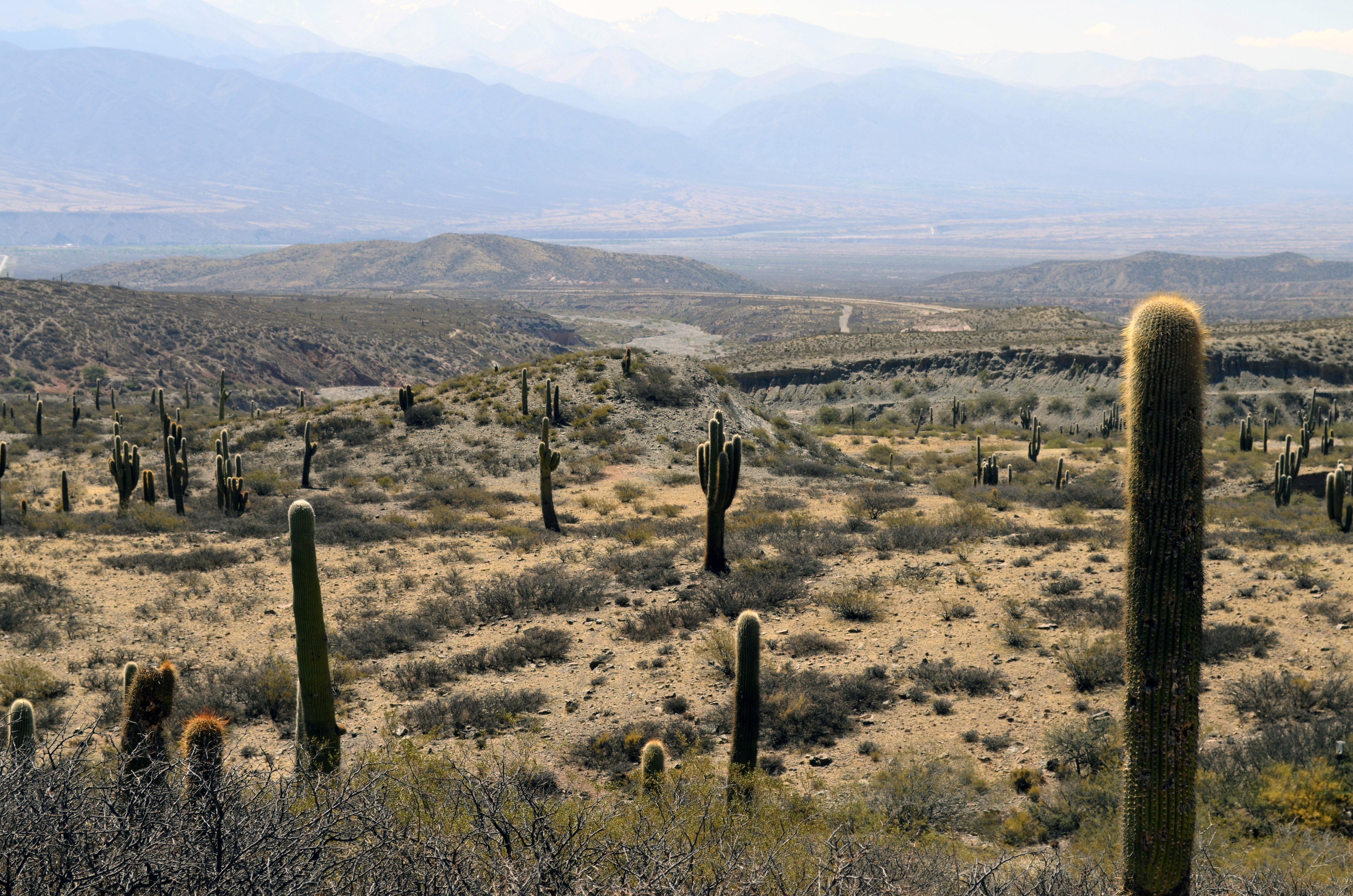 Desert Landscape in Salta, Argentina.