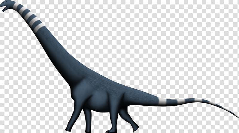 Puertasaurus Dinosaur size Alamosaurus Amphicoelias.