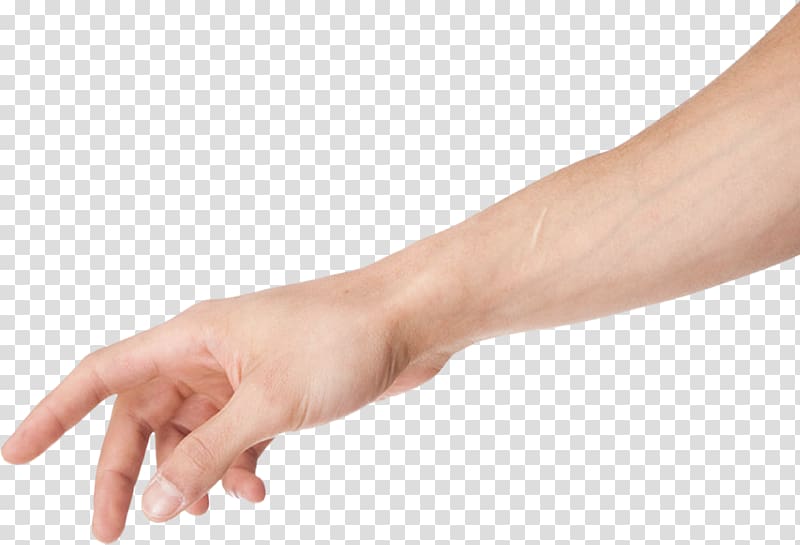 Arm , arm transparent background PNG clipart.