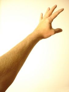 Arm clipart forearm, Arm forearm Transparent FREE for.