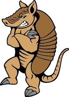 Armadillo clipart cowboy, Armadillo cowboy Transparent FREE.