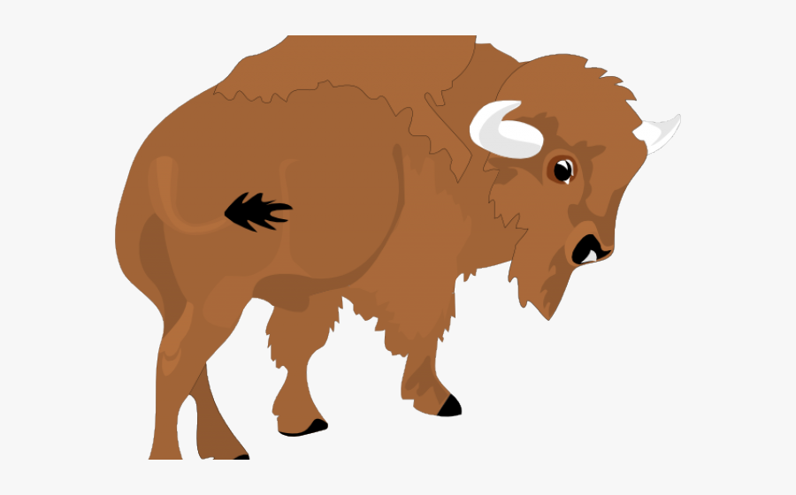 Vector Library Stock Water Buffalo Free On.