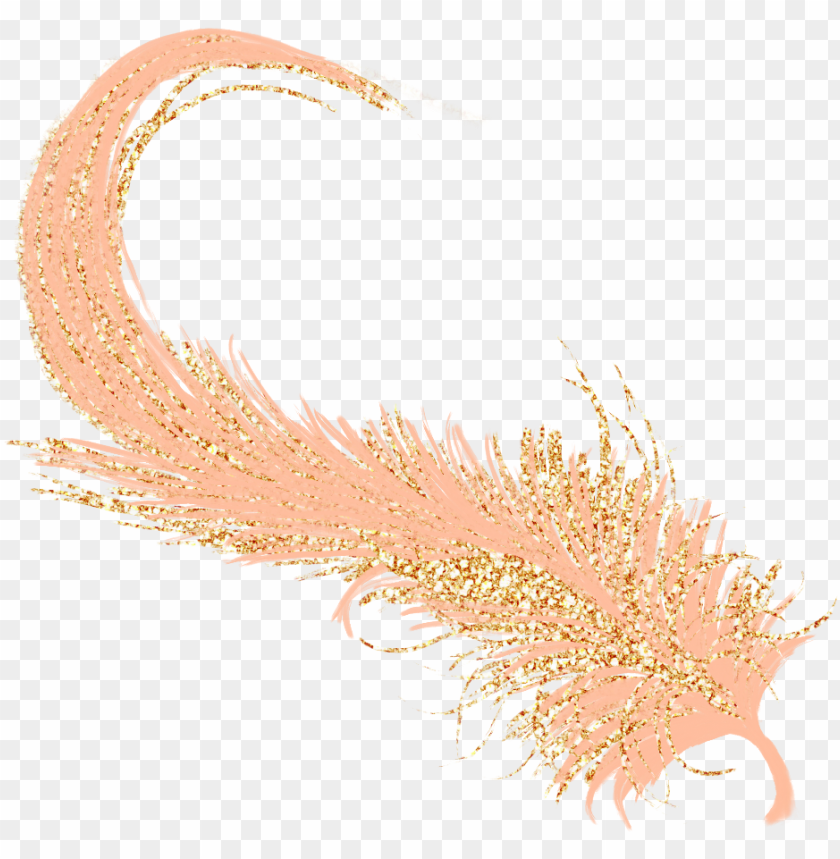 feather golden gold rosegold.