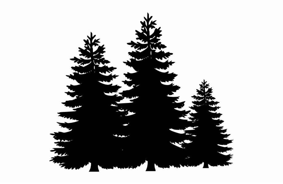 Black And White Pine Tree Clipart 6066 Pine Trees Clip.