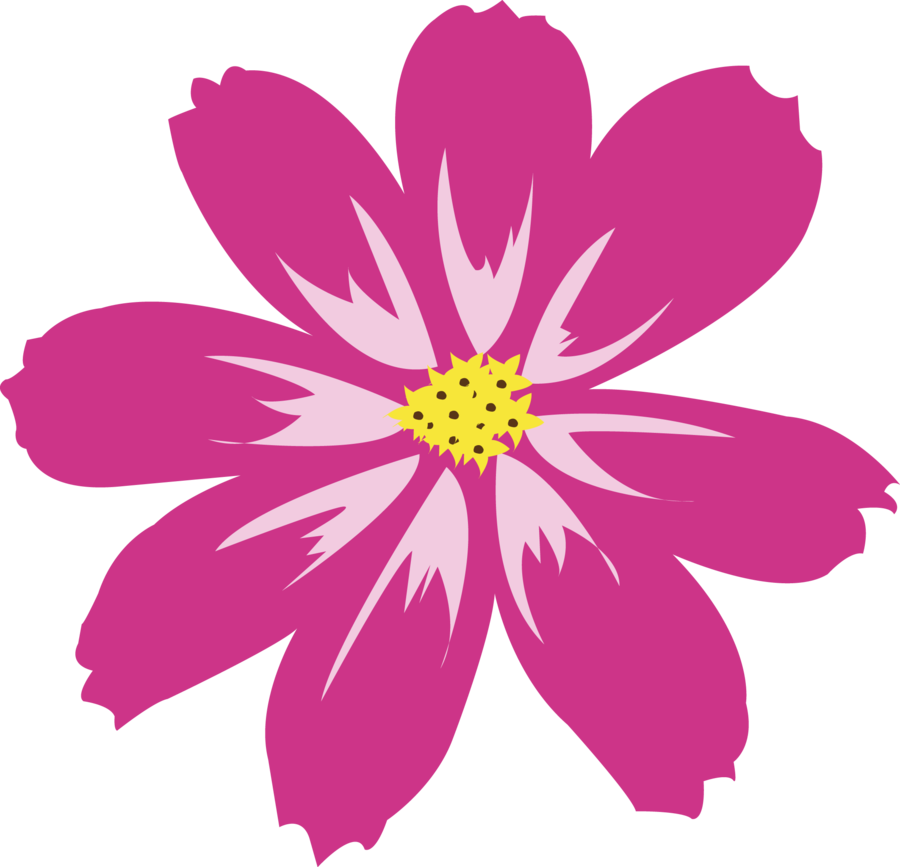 Download Aster PNG HD.