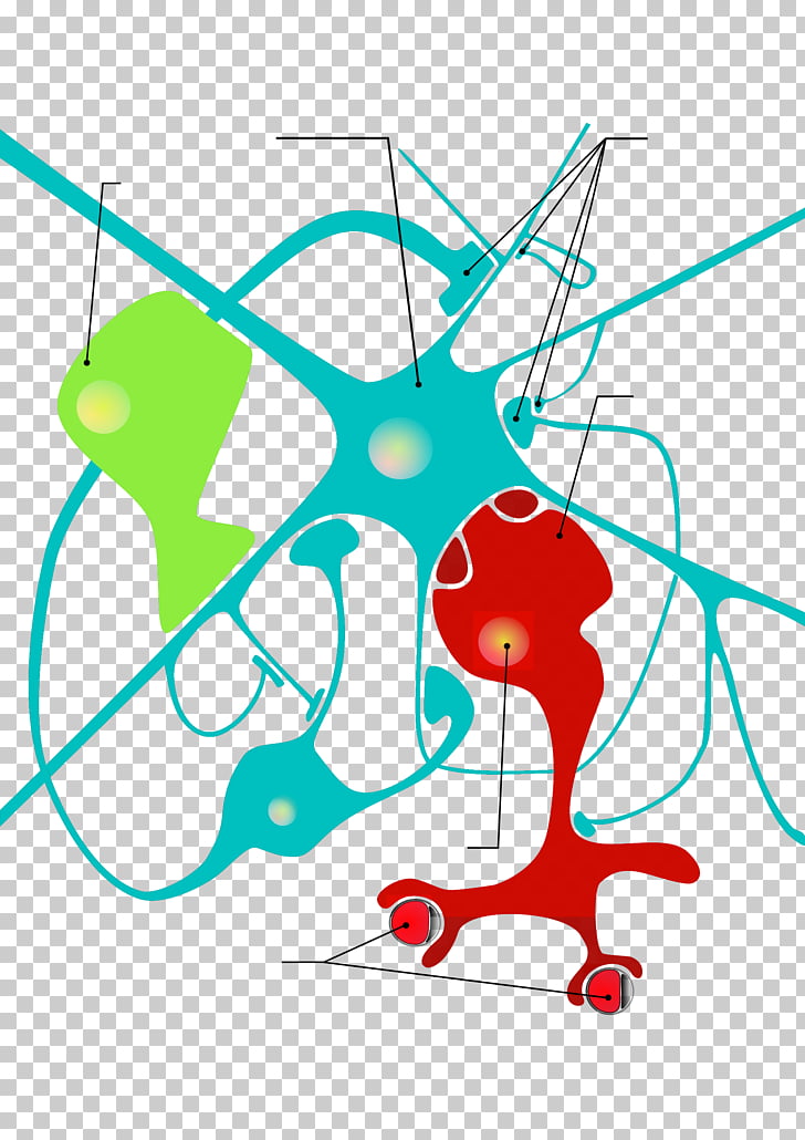 Neuroglia Neuron Astrocyte Cell, glial cells PNG clipart.