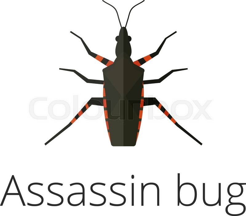 Showing post & media for Bug assassin cartoon.