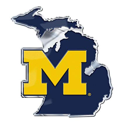 Amazon.com : PM Michigan Wolverines on State Background Auto.