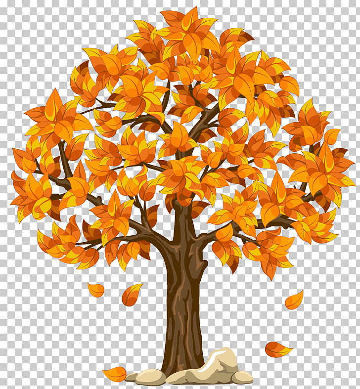 Autumn Tree , Transparent Fall Orange , orange leaf tree.