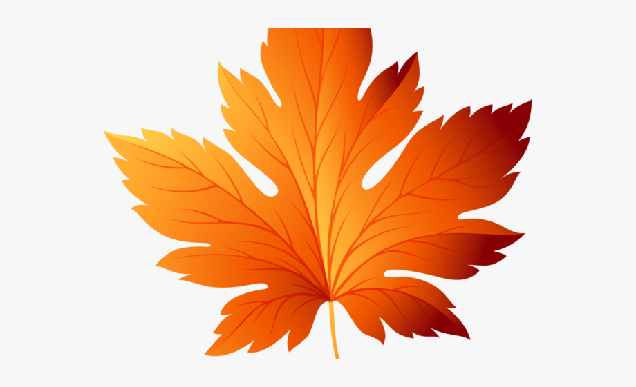 Leaves Clipart Orange Leaf.