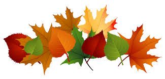 Image result for clip art fall.