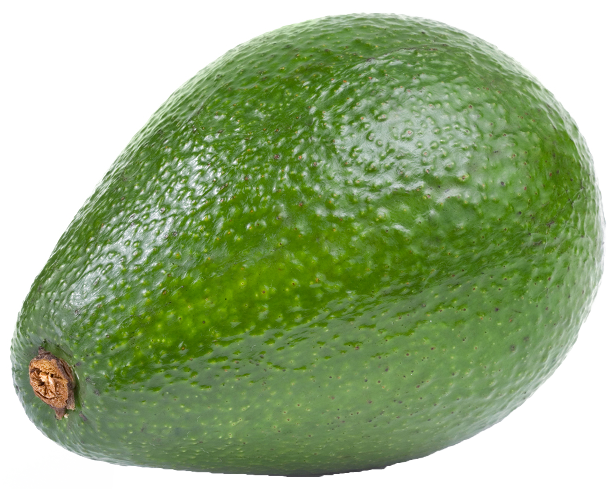 Free Avocado Cliparts, Download Free Clip Art, Free Clip Art.