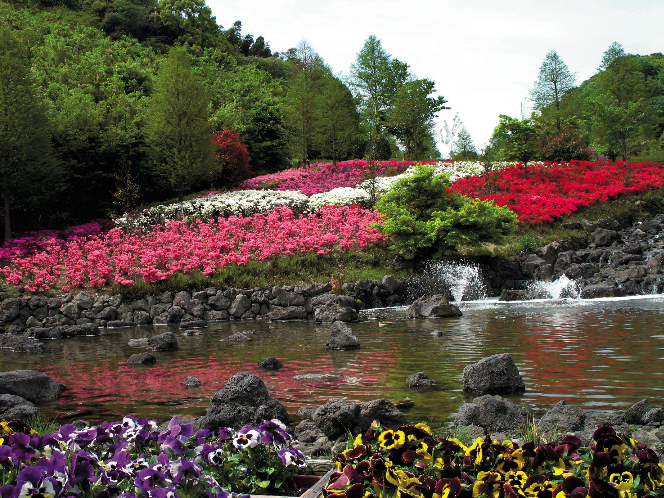 Nature & Flower】 Awaji Island Kuniumi Association.