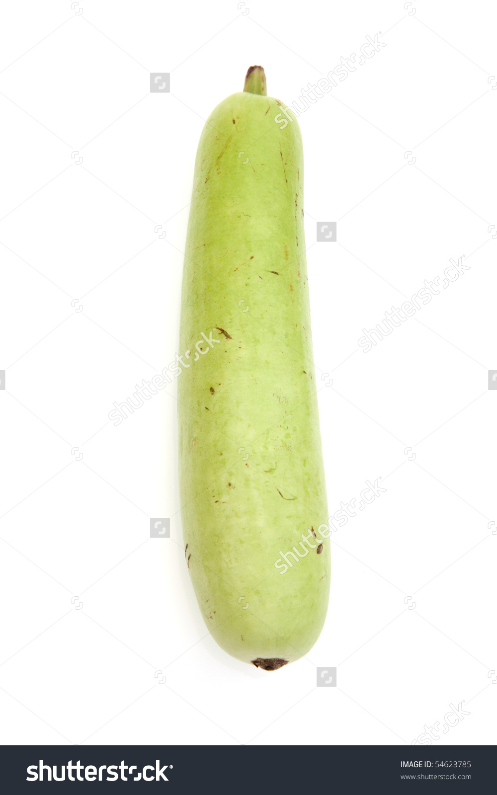 Dudhi Bottle Gourd Isolated On White Stock Photo 54623785.