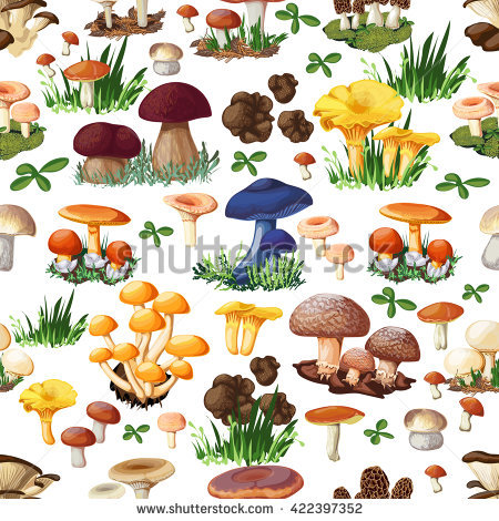 Puffballs Stock Photos, Royalty.