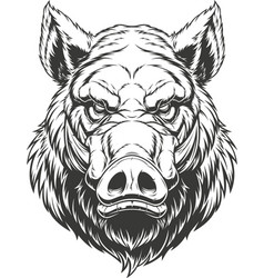 Boar Head Vector Images (over 960).