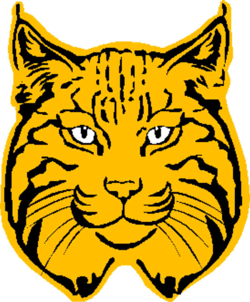 Free Bobcat Cliparts, Download Free Clip Art, Free Clip Art.