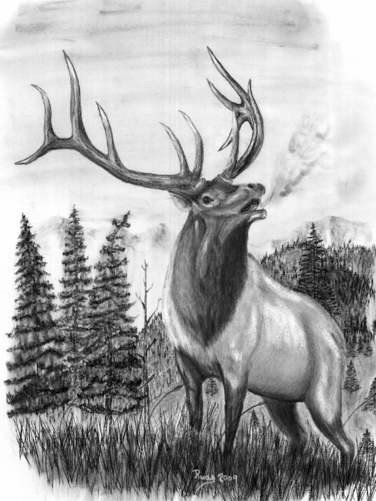 Elk Head Clip Art.