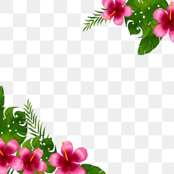 Transparent Border PNG Images.