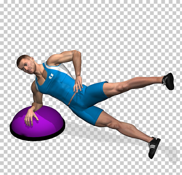 Physical fitness Leg raise BOSU Exercise Balls, Muscle legs.