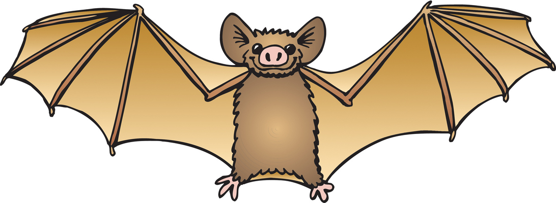 Free Bats Cliparts, Download Free Clip Art, Free Clip Art on.