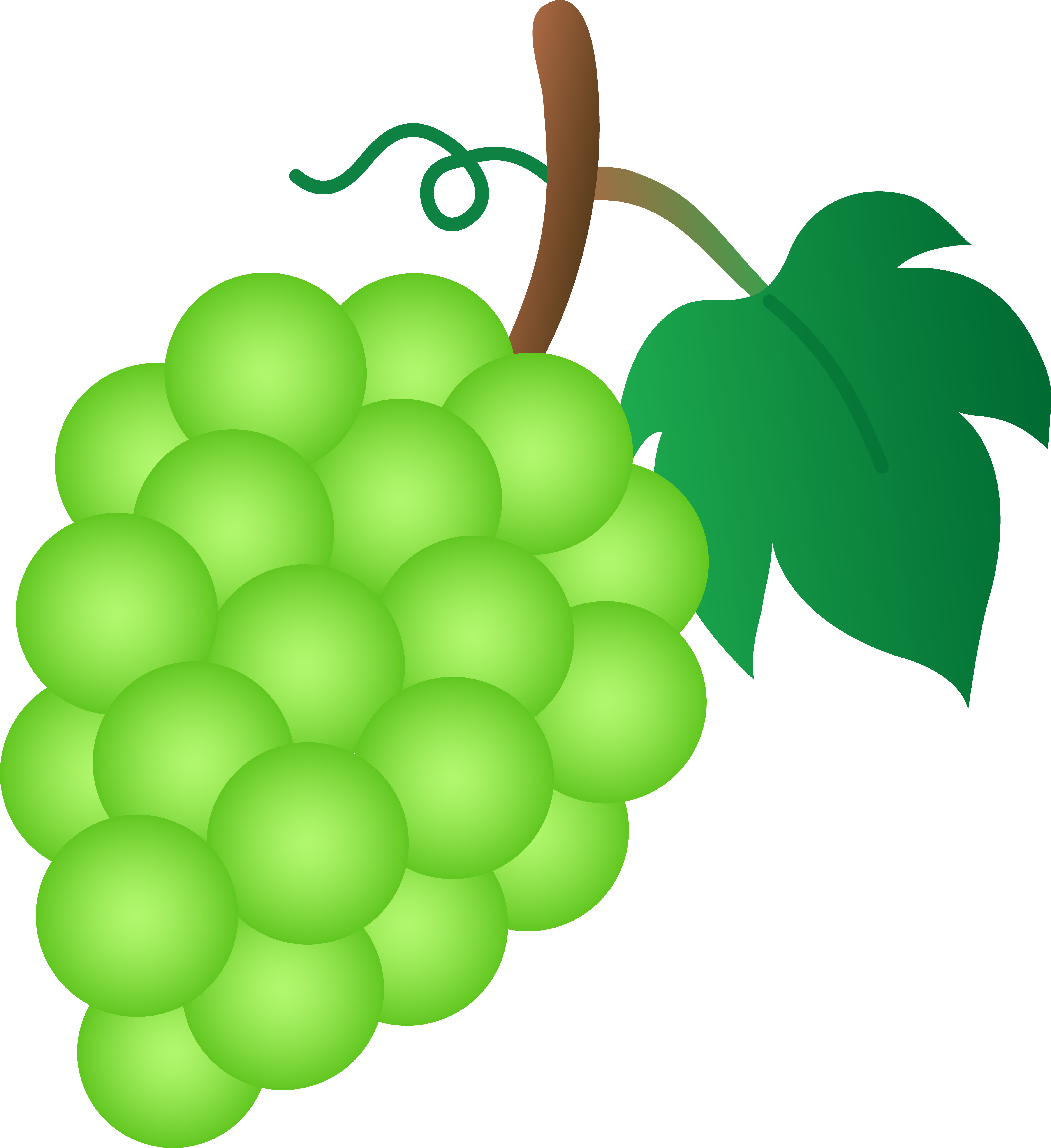 Grapes Clipart.