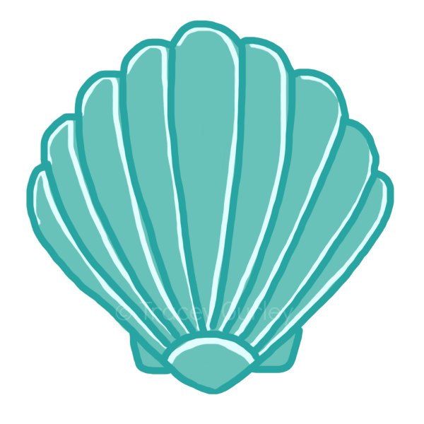 Seashell clip art sea shells clip art seashells 2 image 3.