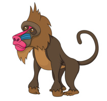 Baboon Clipart.