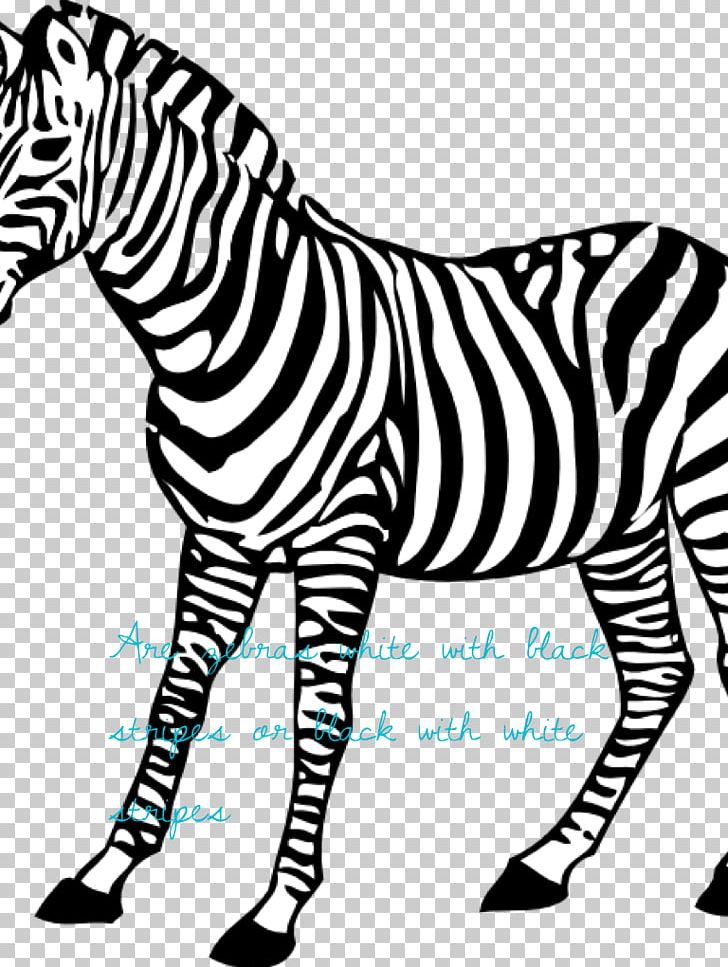 Baby Zebra Coloring Book Animal PNG, Clipart, Adult, Animal.