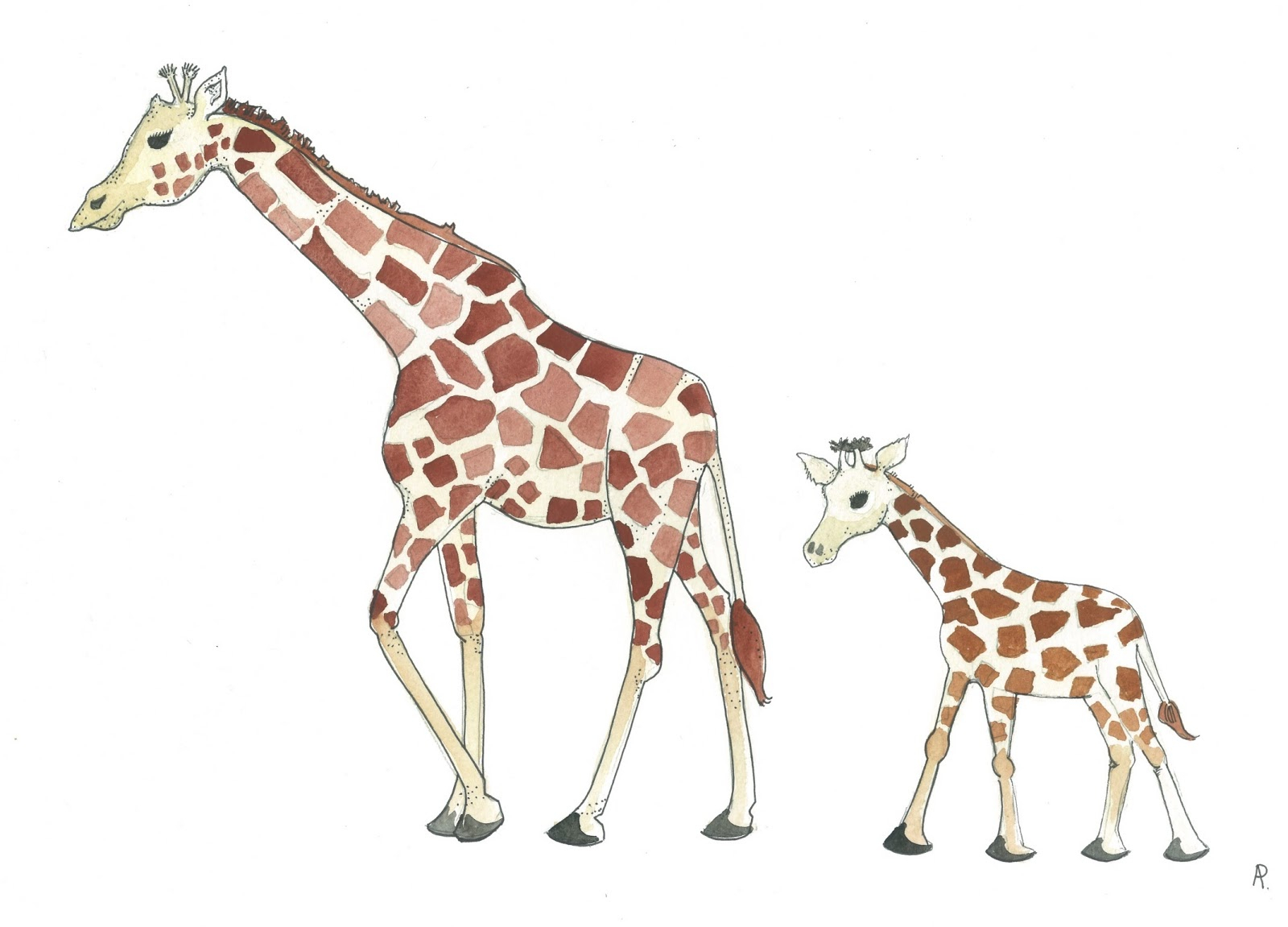 5895 Giraffe free clipart.