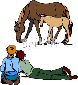 Mother And Baby Horse Clipart.