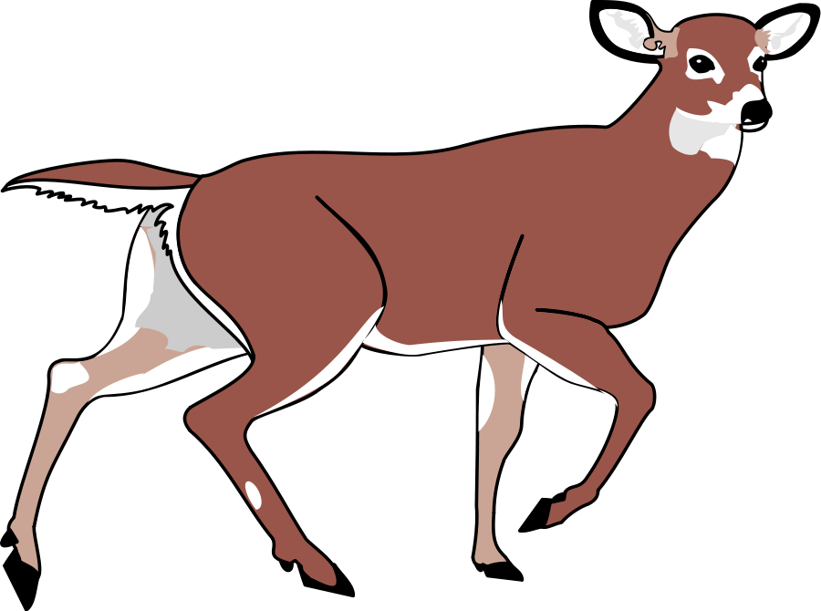 Free Deer Head Clipart, Download Free Clip Art, Free Clip.