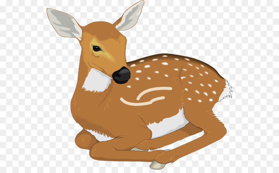 Kangaroo Cartoon png download.