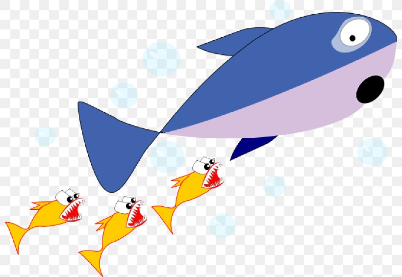 Shark Cartoon Fish Clip Art, PNG, 800x565px, Shark, Animal.