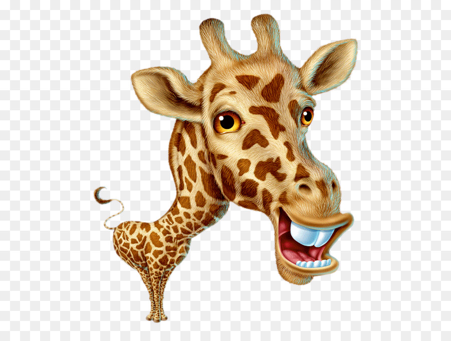 Giraffe Cartoon png download.