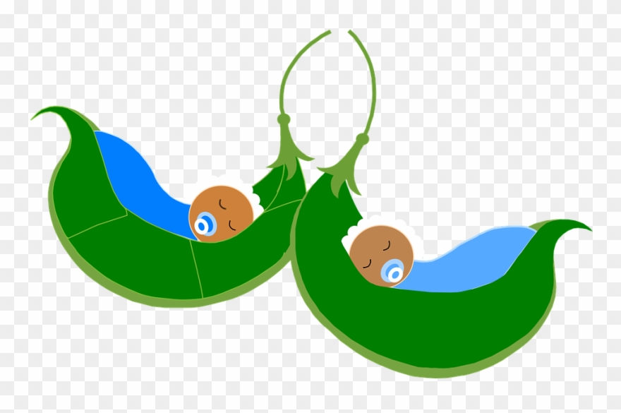 Baby Peas In A Pod Clipart (#1246133).