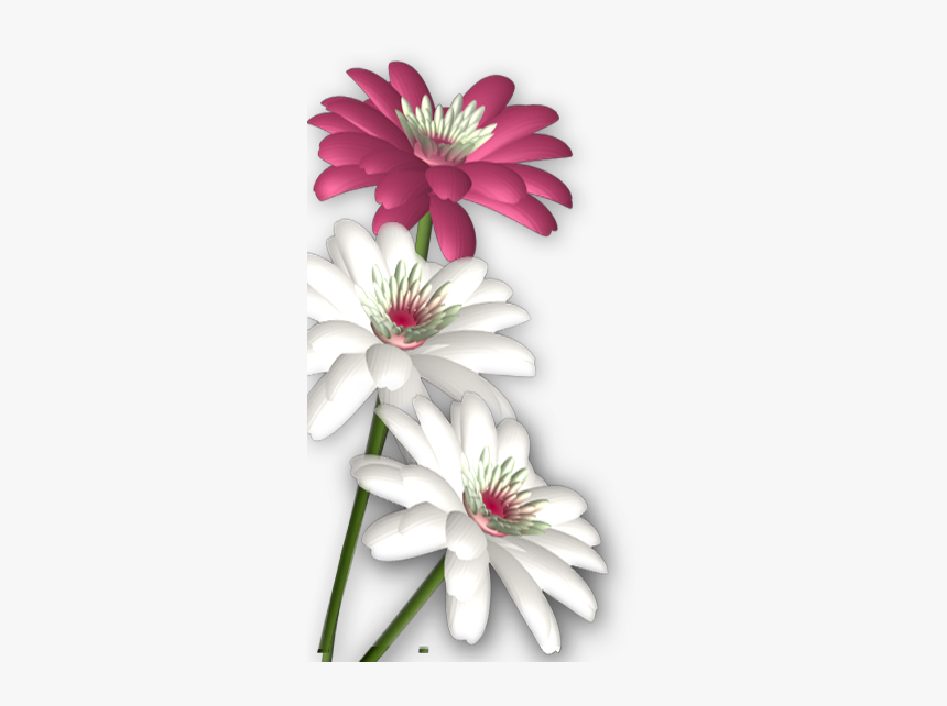 Massages Clipart Abstract Flower.