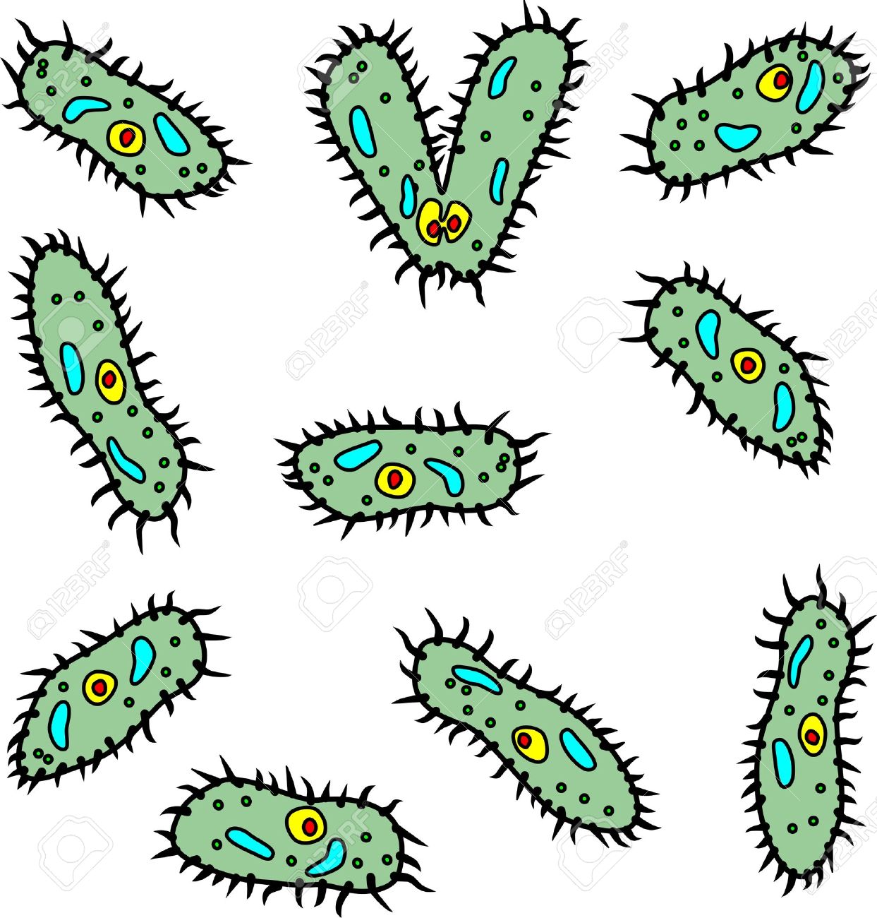 Bacteria clipart.