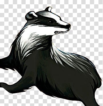 Black and white animal sketch, Badger transparent background.