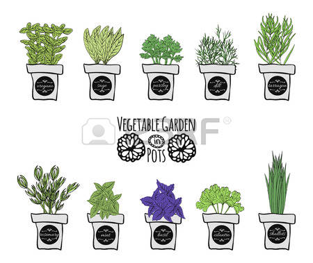 374 Balcony Plant Stock Vector Illustration And Royalty Free.