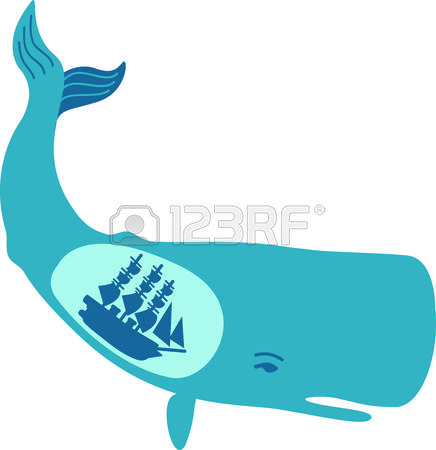 168 Baleen Whales Stock Vector Illustration And Royalty Free.