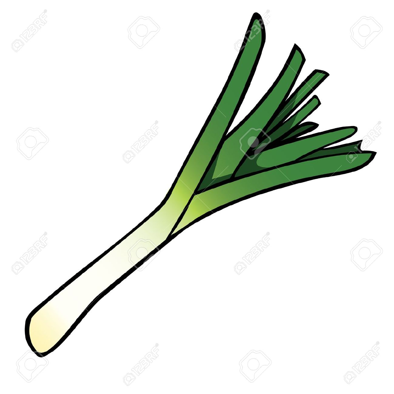 Welsh leek clipart.