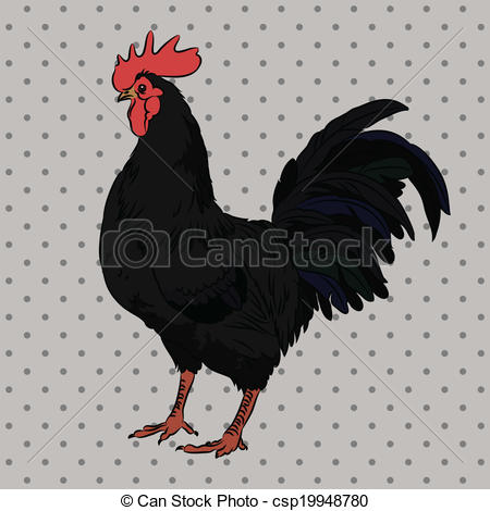 Bantam Vector Clip Art Illustrations. 512 Bantam clipart EPS.