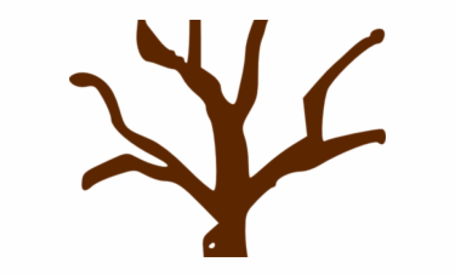 Branch Clipart Tree Trunk.