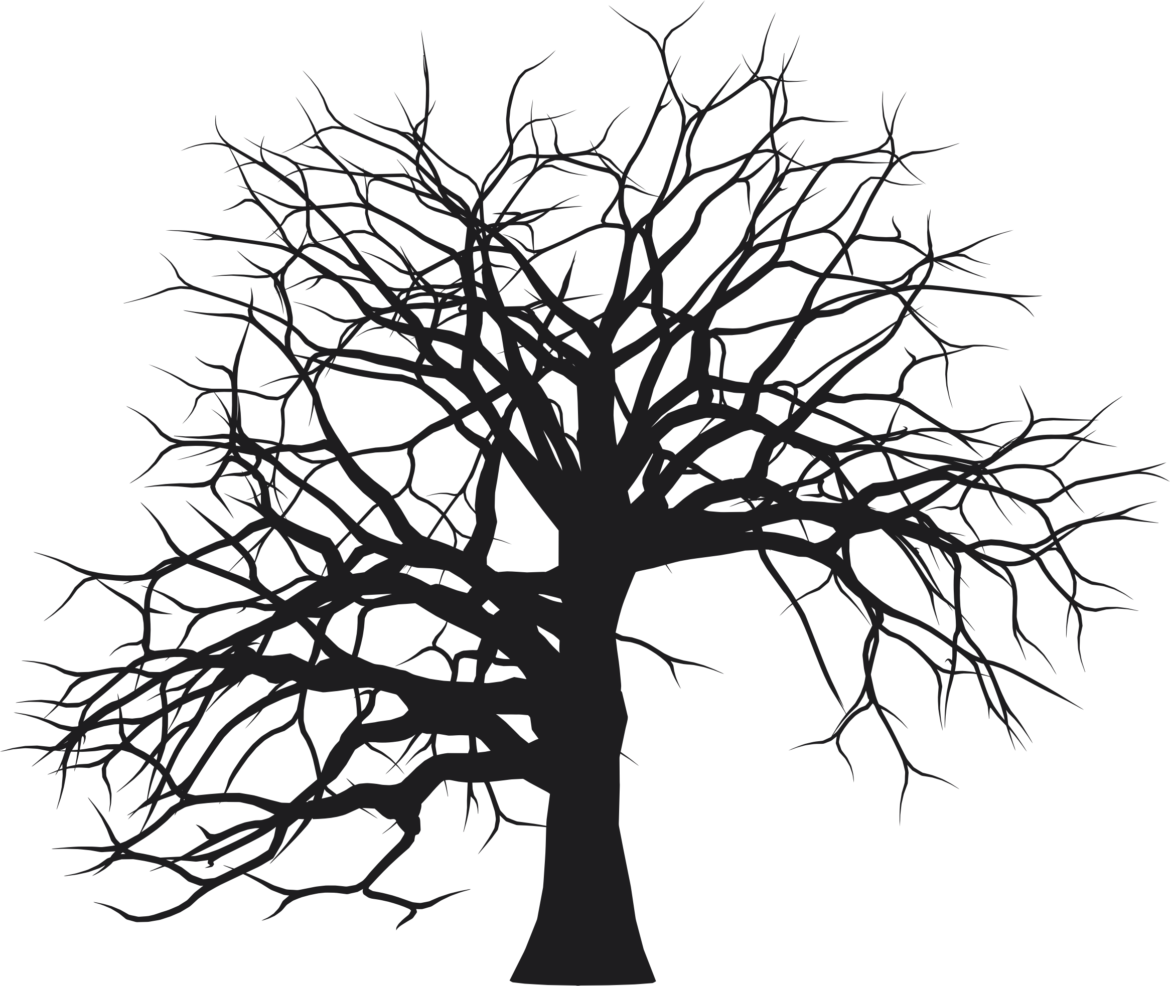 Download Free png tree bark clipart black and white.