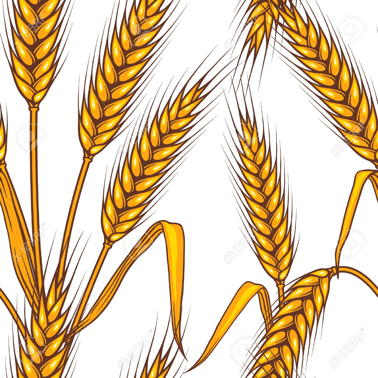 Barley Clipart.