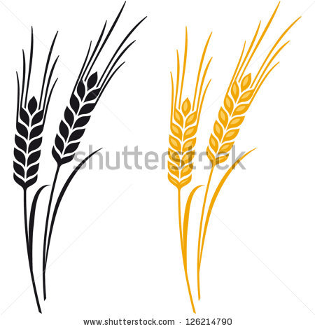 Barley Clipart.