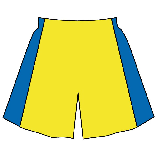 Basketball shorts vector image.