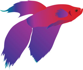 Beta Fish Clip Art.